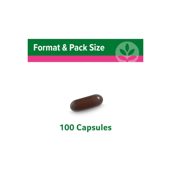 Cenovis Women’s Multi+ Energy Boost Capsules 100 – Daily Multivitamin for Energy, Stamina & Wellness Cenovis Women’s Multi+ Energy Boost Capsules 100 – One-a-Day Multivitamin Supporting Energy, Physical Stamina, Immune and Bone Health